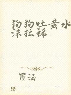 狗狗吐黄水带泡沫拉稀