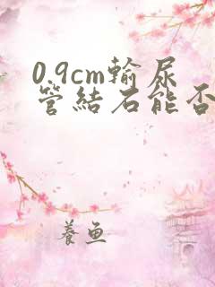 0.9cm输尿管结石能否排出