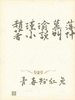 赵瑾瑜慕落雪原著小说叫什么名字