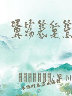 眼睛发红发痒有异物感是怎么回事