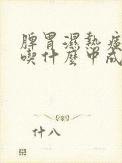 脾胃湿热痰湿重吃什么中成药