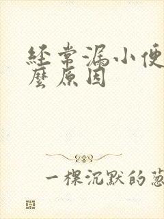 经常漏小便是什么原因