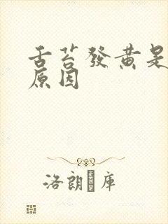 舌苔发黄是怎么原因