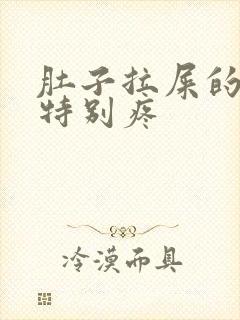 肚子拉屎的时候特别疼