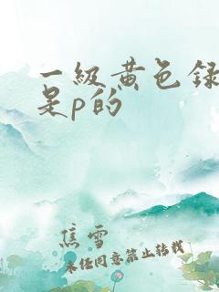 一级黄色录像片是p的