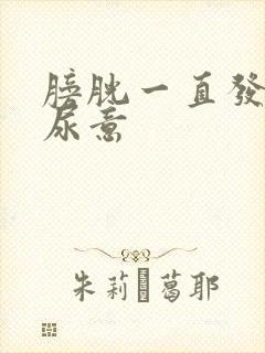 膀胱一直发胀有尿意