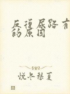 反复尿路有感染的原因