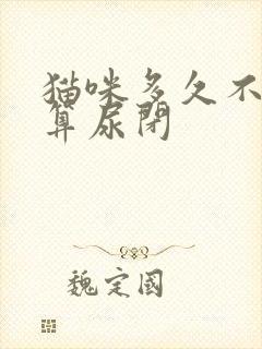 猫咪多久不排尿算尿闭