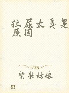 拉尿太臭是什么原因