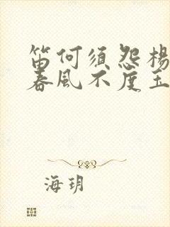 笛何须怨杨柳 春风不度玉门关是哪首诗