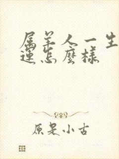 属羊人一生的命运怎么样