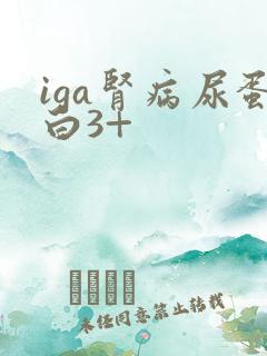 iga肾病尿蛋白3+