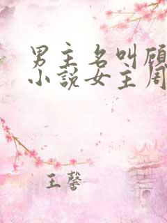 男主名叫顾衍的小说女主周