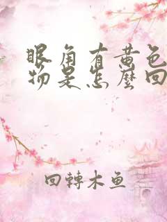 眼角有黄色分泌物是怎么回事