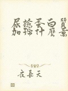 尿检蛋白质3个加号什么意思