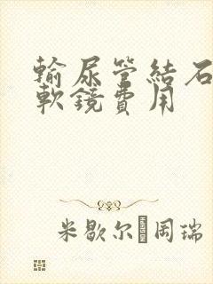 输尿管结石手术软镜费用