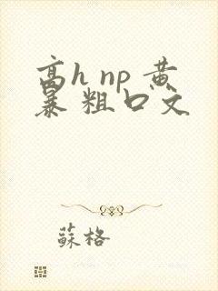 高h np 黄暴 粗口文