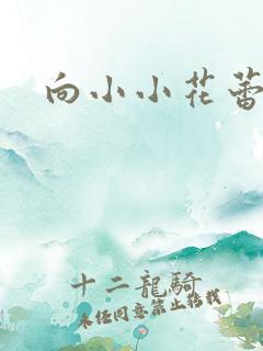 向小小花蕾