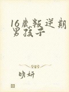 16岁叛逆期的男孩子