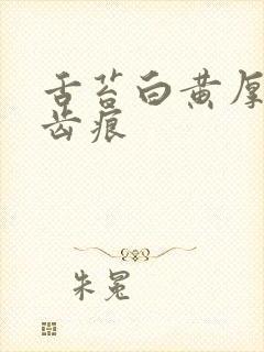 舌苔白黄厚腻有齿痕