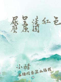 尿呈淡红色是什么原因