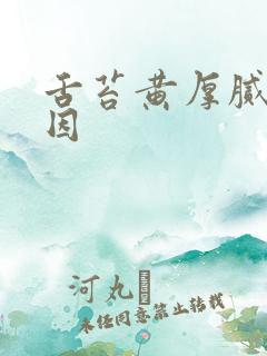 舌苔黄厚腻的原因