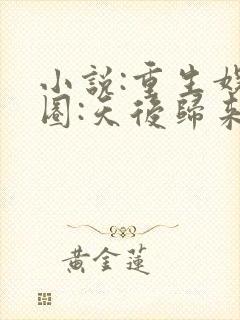 小说:重生娱乐圈:天后归来