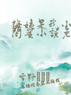 梅姨是我小妈的闺蜜小说免费阅读全文