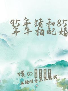 95年猪和85年牛相配婚姻如何