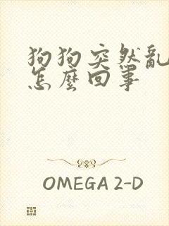 狗狗突然乱尿是怎么回事