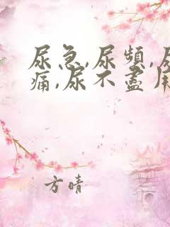 尿急,尿频,尿痛,尿不尽用什么药