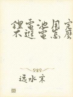 锂电池用完电充不进电怎么办