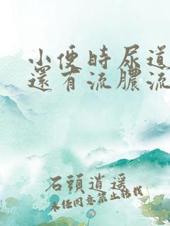 小便时尿道刺痛还有流脓流出是怎么回事