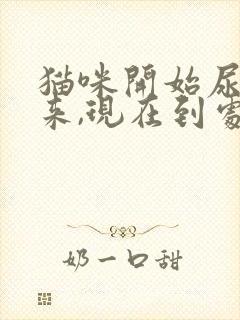 猫咪开始尿不出来,现在到处尿了