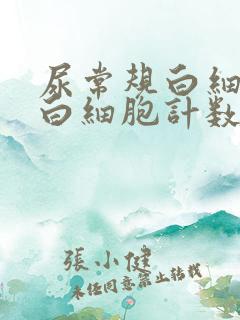 尿常规白细胞和白细胞计数高