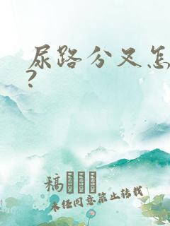 尿路分叉怎回事?