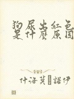 狗尿出红色的尿是什么原因