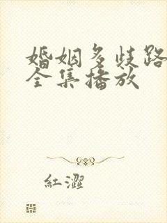 婚姻多歧路短剧全集播放