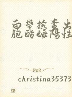 白带检查出白细胞酯酶阳性