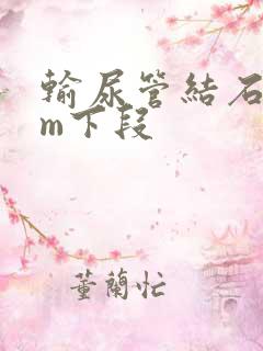 输尿管结石7mm下段