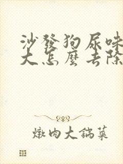 沙发狗尿味道很大怎么去除