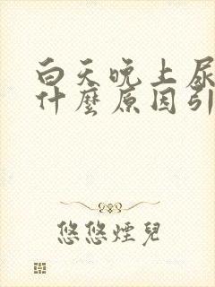 白天晚上尿多是什么原因引起的