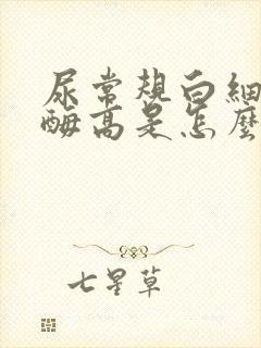 尿常规白细胞酯酶高是怎么回事