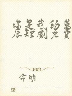 你是我的万千星辰短剧免费观看全集