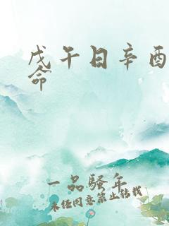 戊午日辛酉时男命