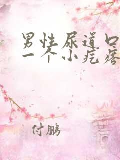 男性尿道口长了一个小疙瘩怎么回事