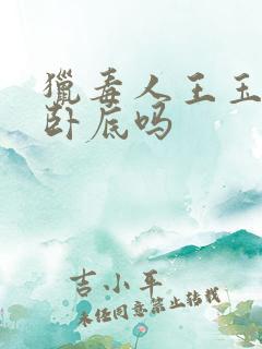 猎毒人王玉江是卧底吗