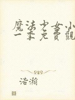 魔法少女小圆第一季免费观看动漫