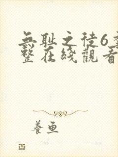 无耻之徒6季完整在线观看高清美剧普通话