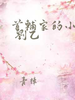 首辅家的小娇娘 刘乙